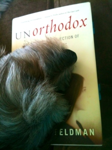 How am I supposed to write my review when Tilly is napping on top of the book?